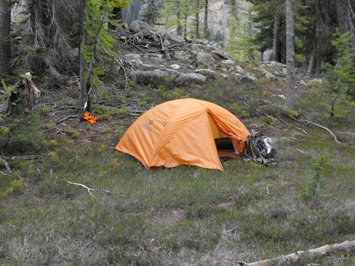 Single tent, orange canopy